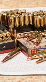 Песнь пуль, и траекторий. Часть II