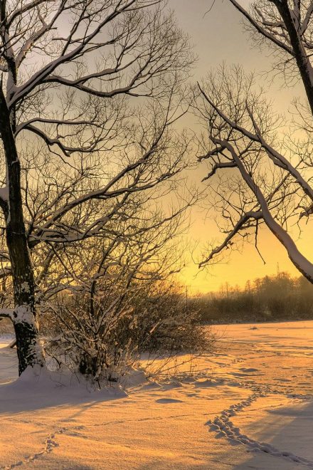 На закате сезона