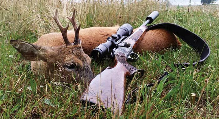 пули для охоты на оленя